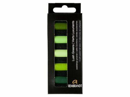 Rembrandt 5 halve softpastels set weelderige groenen