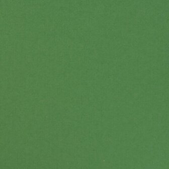 Karton - Cardstock - Gladde Afwerking - A4 - emerald - Groen - 216 grams - Florence - 10 vellen