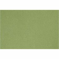 Frans karton - Apple Green - A4 - 21x29,7cm - 160 grams - Creotime - 1 vel