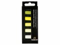 Rembrandt 5 halve softpastels set koele gelen