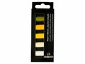 Rembrandt 5 halve softpastels set warme gelen