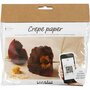 Mini Hobbyset Crêpepapier, Klaprozen, Crêpe-verhouding: 180%, 105 gr, 1 doos